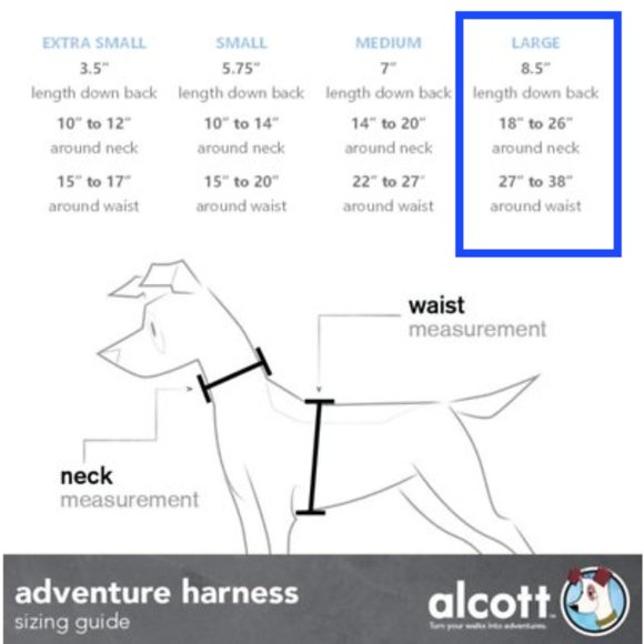 Pink Dog Harness - Picture 7 of 7